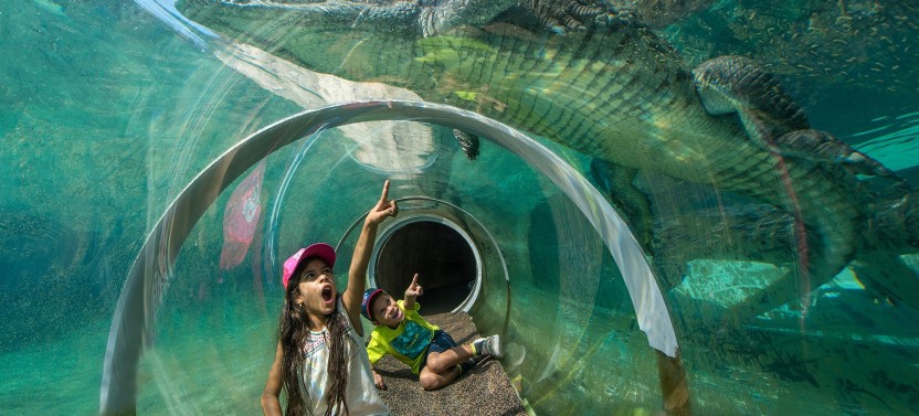 Go City | Miami Explorer Pass: Entry to 2-5 Top Activities
