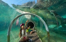 Go City | Miami Explorer Pass: Choose from 25+ Attractions