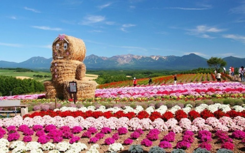 Hokkaido private tour