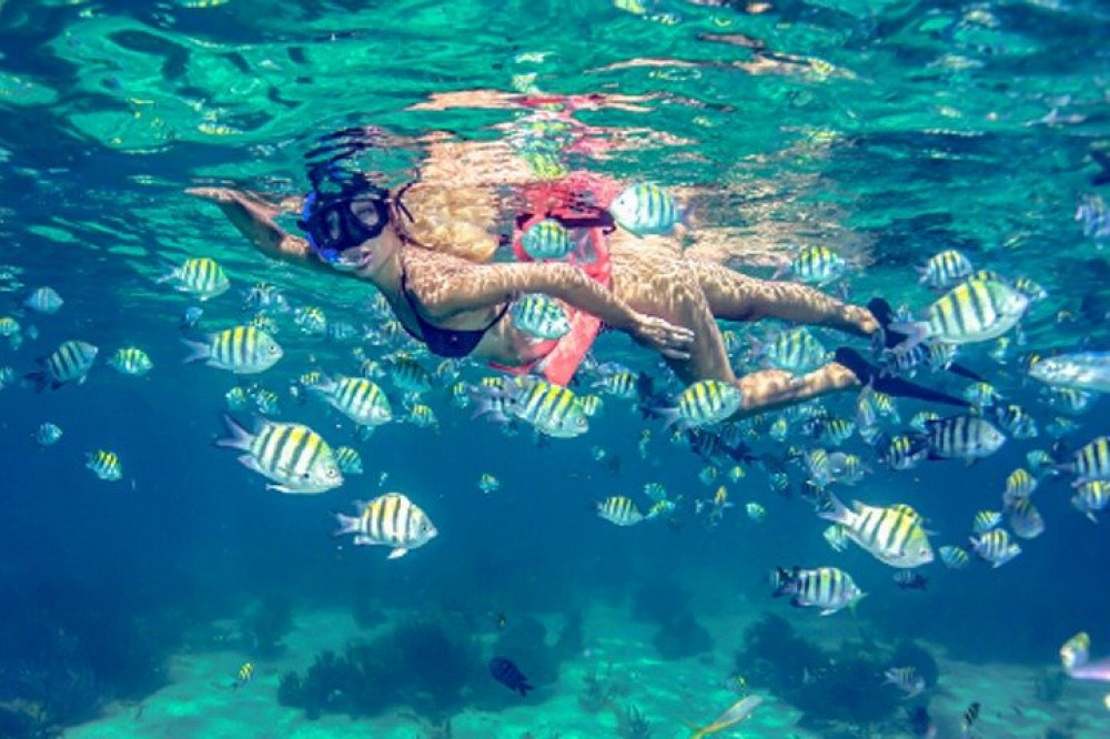 Isla Mujeres Snorkel & Sailing Experience From Cancun - Cancun ...