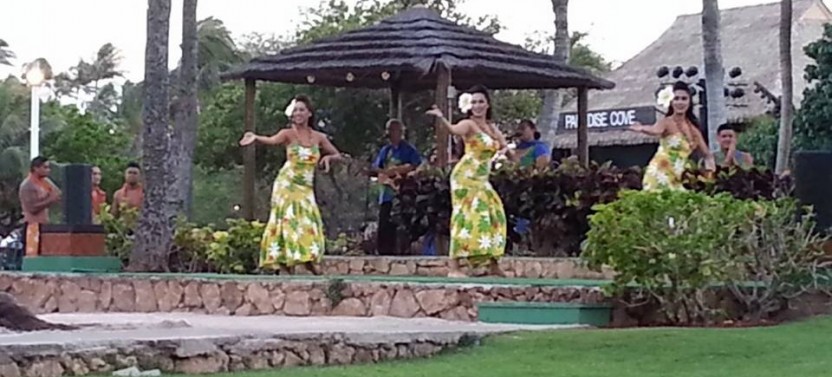 Paradise Cove: Orchid Luau Package