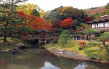 Beauty of Japan3