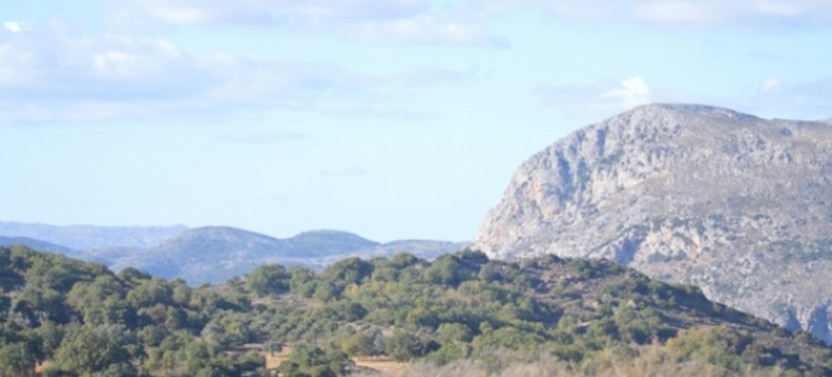Classic and Authentic Crete Day Tour