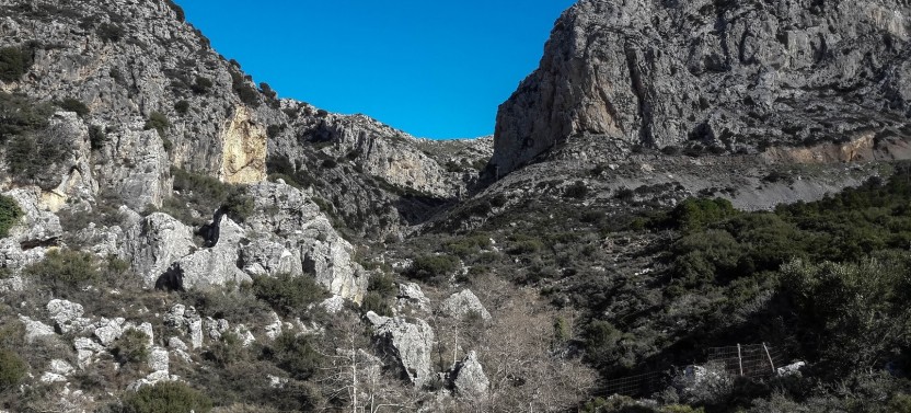 Hiking Adventure (Incl. Lunch)