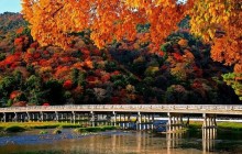 Private Kyoto Arashiyama Tour by Taxi