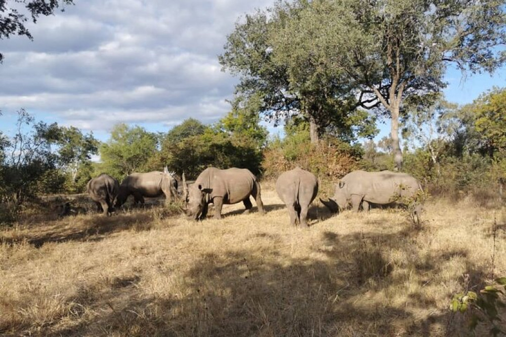 Walking Safari of Mosi-oa-Tunya National park from Livingstone Zambia