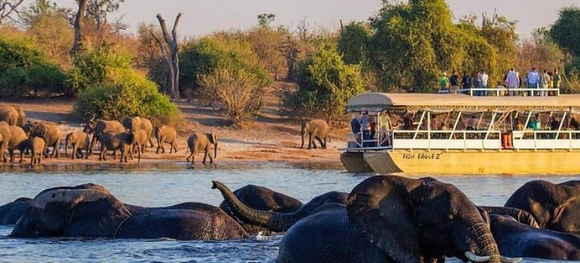 Full-Day Tour to Chobe National Park and Botswana