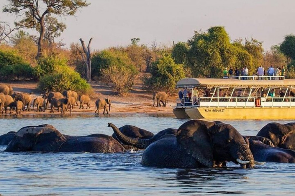 Full-Day Tour to Chobe National Park and Botswana