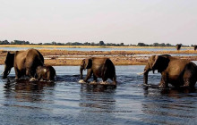 HSM adventures tours and safaris11