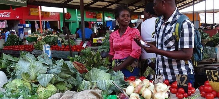Livingstone Town Guided Tour