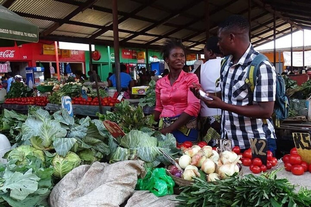 Livingstone Town Guided Tour