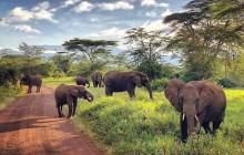 HSM adventures tours and safaris1