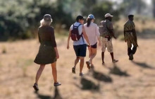 HSM adventures tours and safaris4