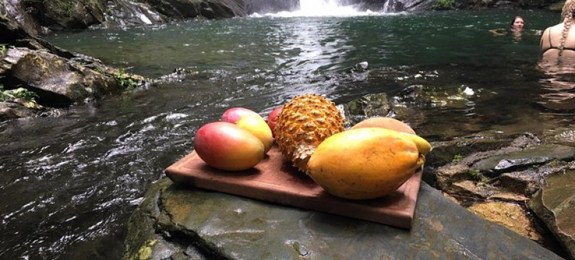 Into the Rainforest: Discover a Belize Waterfall