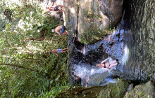 Barefoot Services3