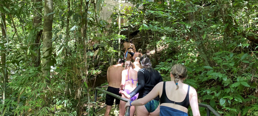 Into the Rainforest: Discover a Belize Waterfall