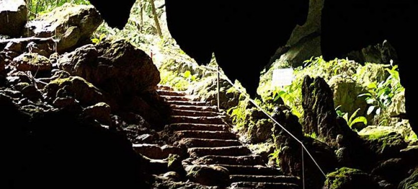 Sacred Waters: Cave Tubing & Cenote Adventure