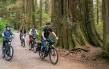 Cycle City Vancouver3