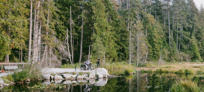 The Stanley - Rainforest and Coastal Exploration