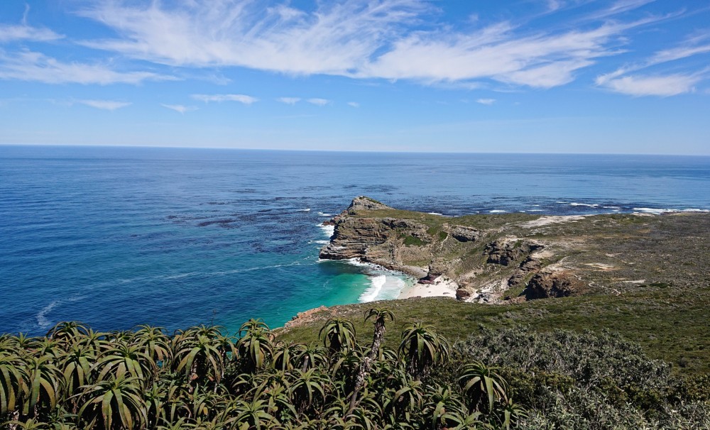 Private cape peninsula tour