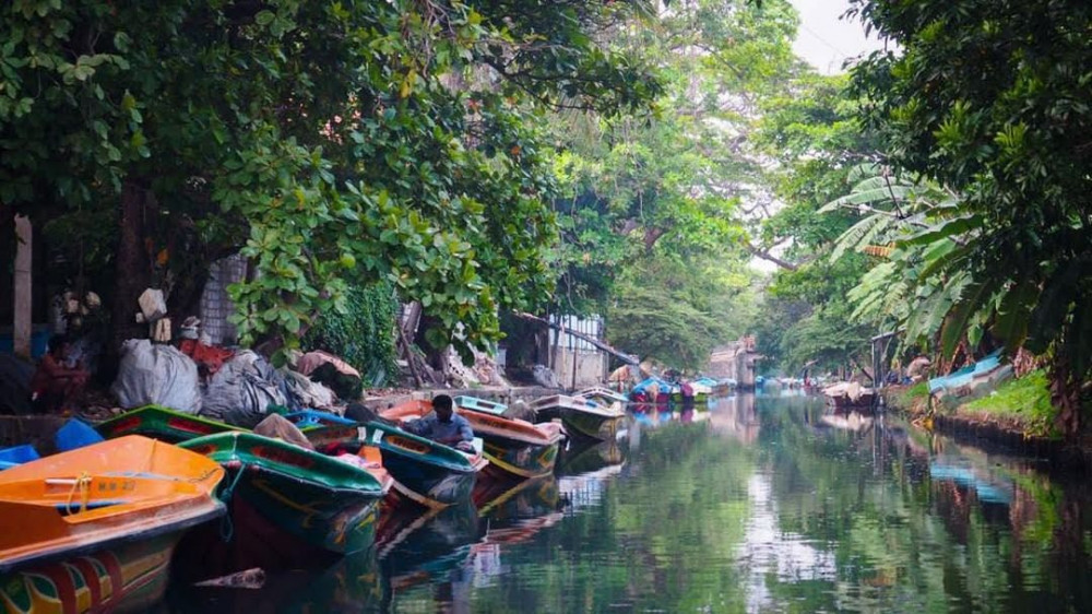 Muthurajawela Wetland Boat Ride