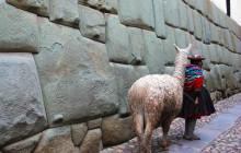 Valencia Travel Cusco3
