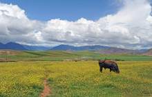 Valencia Travel Cusco4