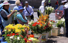 Valencia Travel Cusco3