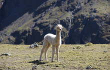 Valencia Travel Cusco7