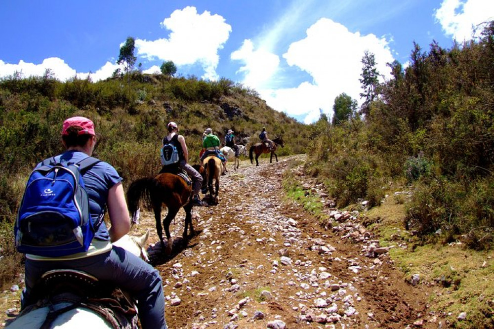 Half Day - City Horse Traditional Riding Tour Group Service