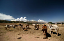 Valencia Travel Cusco5