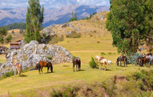 Valencia Travel Cusco6
