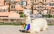 Valencia Travel Cusco6
