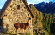 Valencia Travel Cusco6