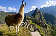 Valencia Travel Cusco1