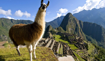 A picture of 4-Day Machu Picchu Special Tour