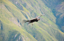 Valencia Travel Cusco1