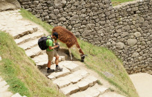 Valencia Travel Cusco2
