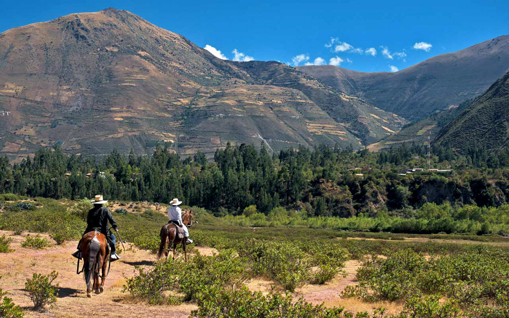 Half-Day Horseback Riding Mystic Tour