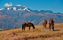 Valencia Travel Cusco3
