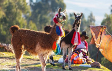 Valencia Travel Cusco2