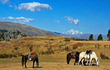 Valencia Travel Cusco4