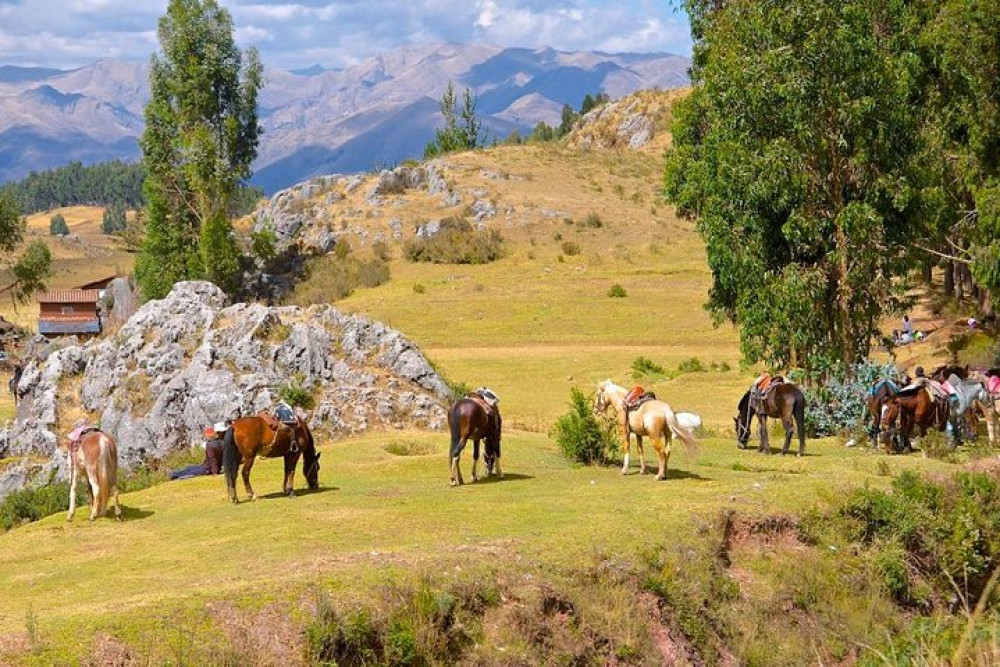 Half day: City Horse Riding - Mystic Tour - Group Service