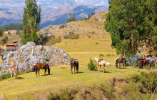 Valencia Travel Cusco1