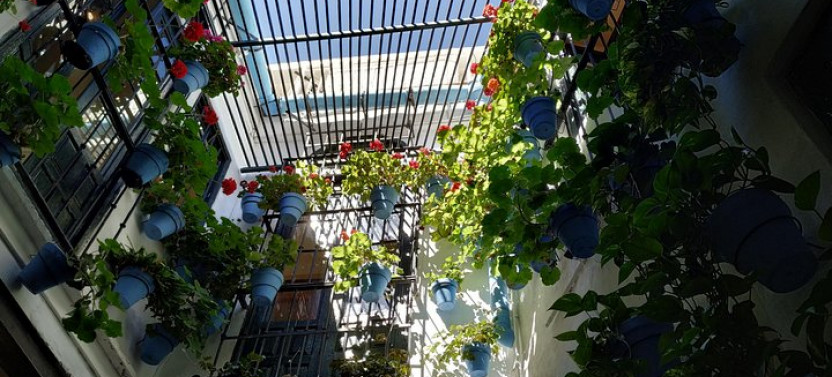 Málaga Private Tour