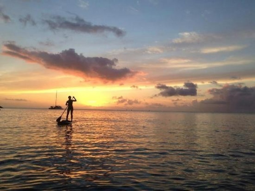 SUP North Shore Nature and Turtle Tour