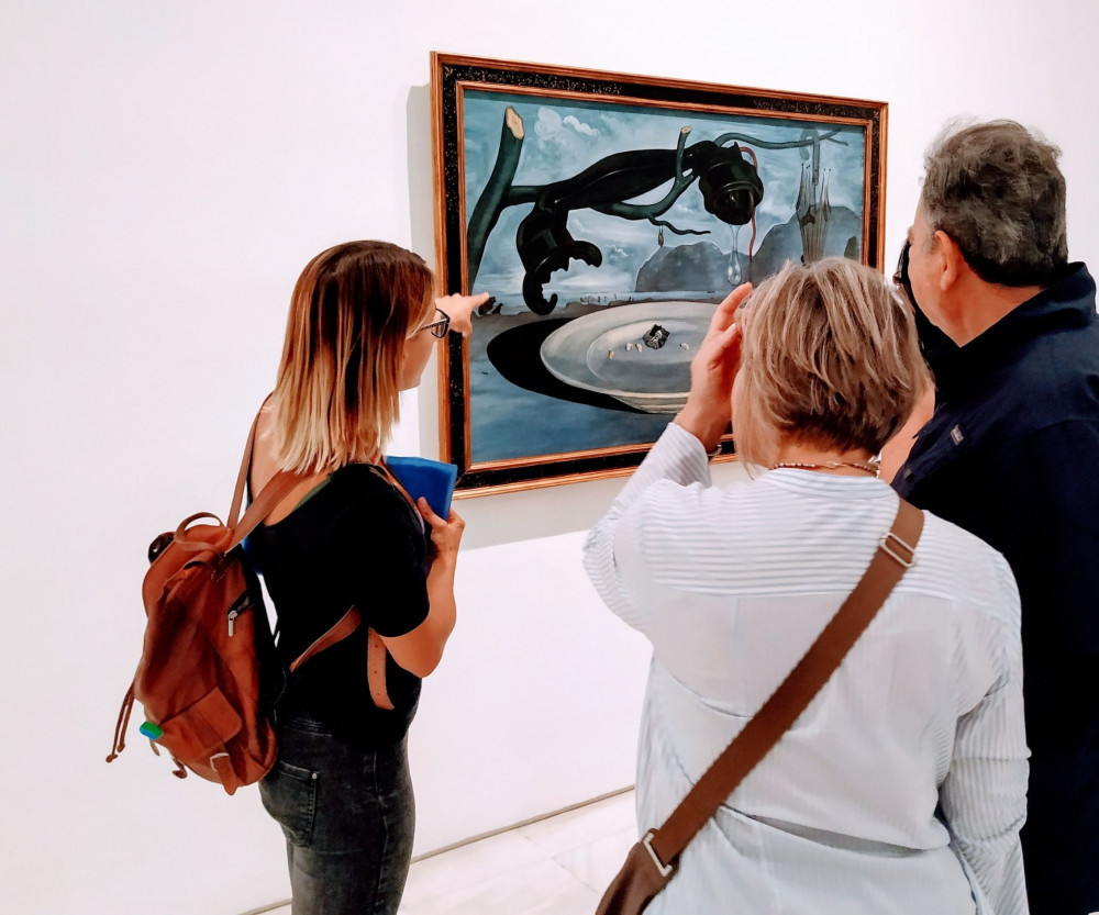 Private Tour to Reina Sofía Museum