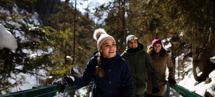 Winter Wonderland | Lake Louise & Johnston Canyon