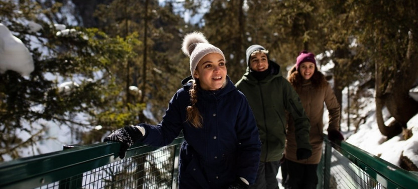 Johnston Canyon Frozen Falls Adventure