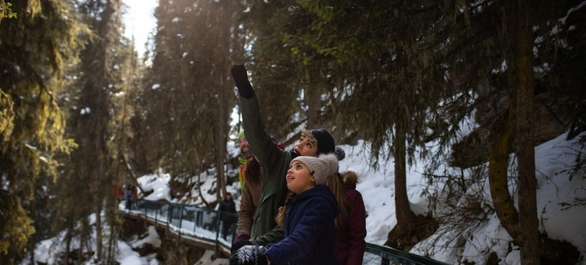 Johnston Canyon Frozen Falls Adventure